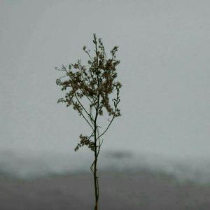 十八十九一级A片
