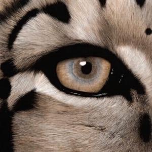 十八十九一级A片
